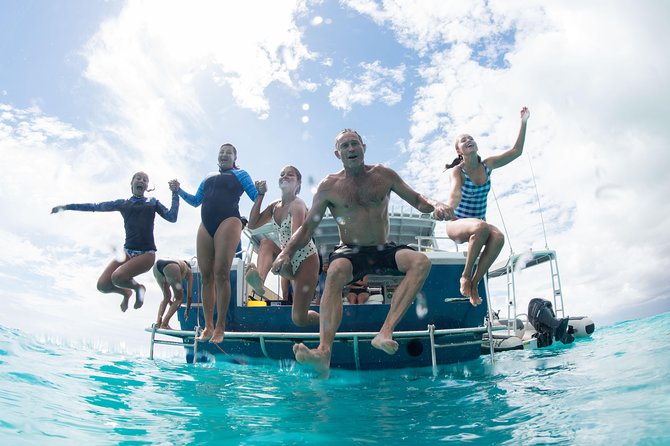 Swim with Whale Sharks in the Ningaloo Reef: 3 Island Shark Dive - Price and Value: Is $444.69 Worth It?