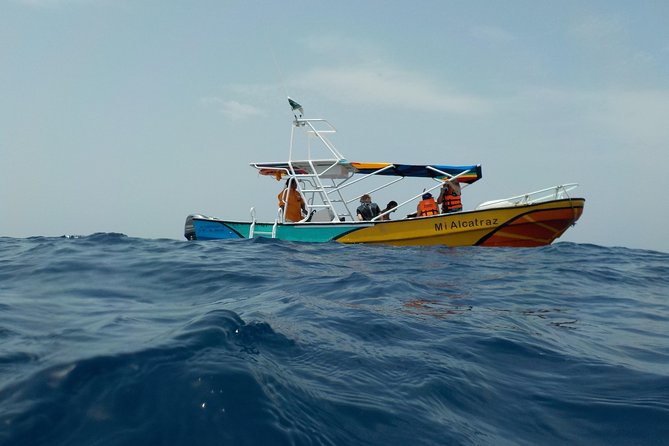Swim with whale sharks on a private tour - A Holbox whale shark day that starts with real fuel (not excuses)
