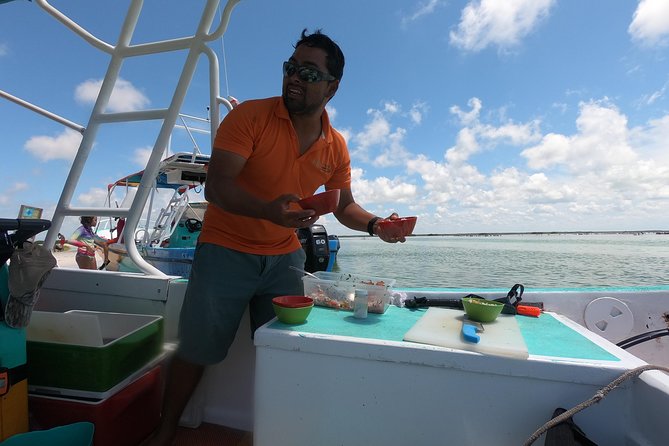 Swim with whale sharks on a private tour - Fresh ceviche: the part that turns a tour into a meal