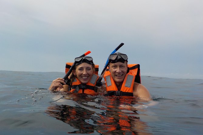 Swim with whale sharks on a private tour - The in-water protocol: two swimmers plus your guide