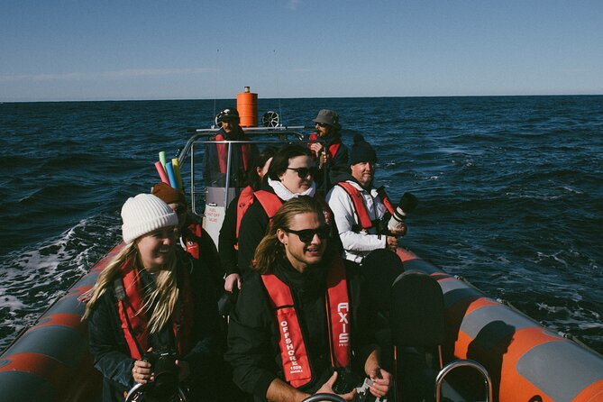 Swim with Whales Gold Coast - Gear and comfort: wetsuits, snorkels, and spray jackets