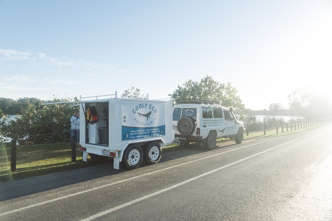 Swim with Whales Gold Coast - The swim itself: what you’re hoping for when the whales show up