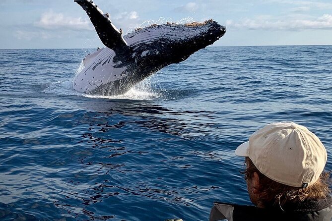 Swim with Whales in Gold Coast - Whale Swimming Setup: Gear, Safety, and the Floating Rope