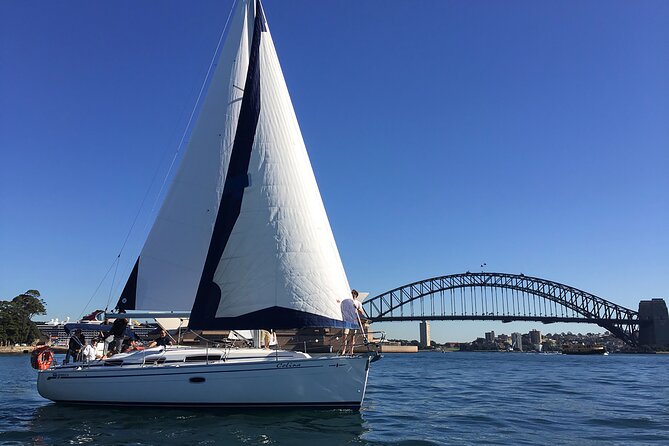 Sydney Harbour Tall Ship Whale & Sail - Whale Watching Cruise - Help sail the ship (or just enjoy the ride)