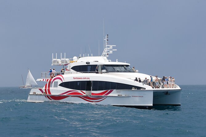 Sydney Whale Watching - 2.5hr Discovery Cruise - The Boat Experience: Viewing Decks and Climate-Controlled Comfort