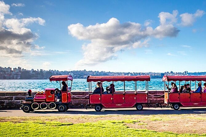 Sydney Whale Watching Adventure Cruise - How the Price Feels (and When It’s a Smart Value)