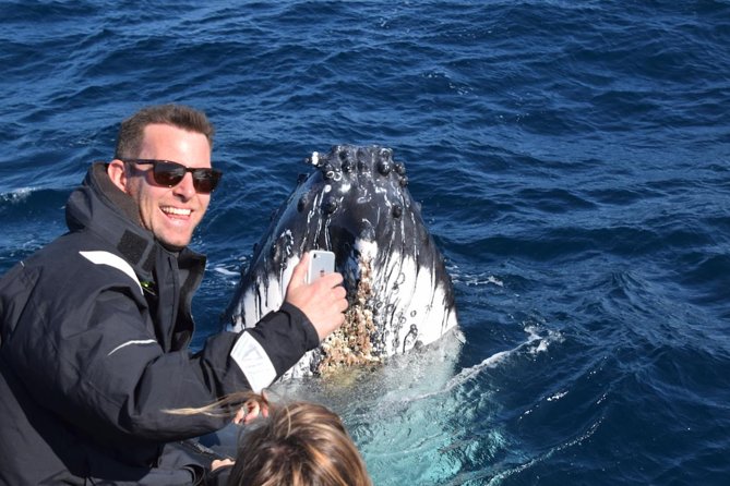 Sydney Whale-Watching by Speed Boat - Stops that matter: what each part gives you