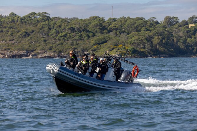 Sydney Whale Watching on Small RIB - A Boutique RIB Ride from Circular Quay
