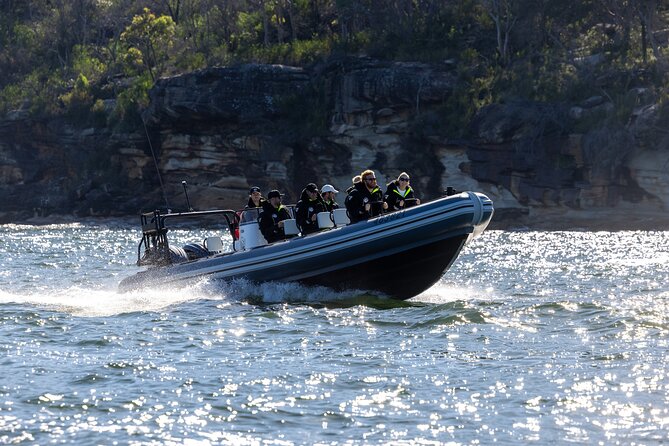 Sydney Whale Watching on Small RIB - Whale Search Time: What You’re Looking For