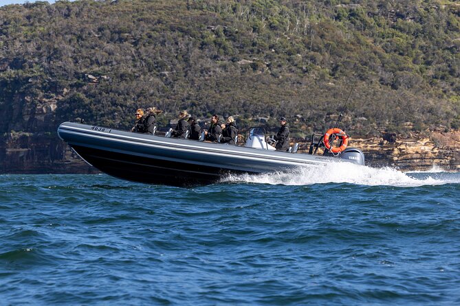 Sydney Whale Watching on Small RIB - The Return Ride: Harbour Views Without the Hurry