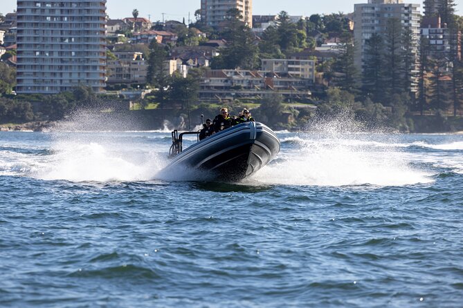 Sydney Whale Watching on Small RIB - Why the 12-Person Boat Changes Everything