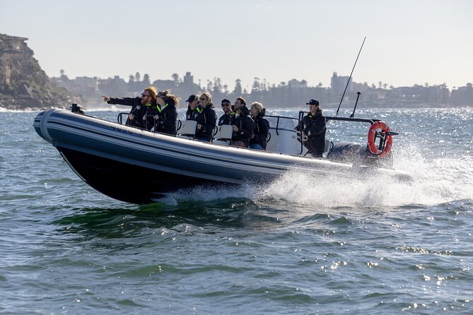 Sydney Whale Watching on Small RIB - Comfort and Motion: A Practical Reality Check