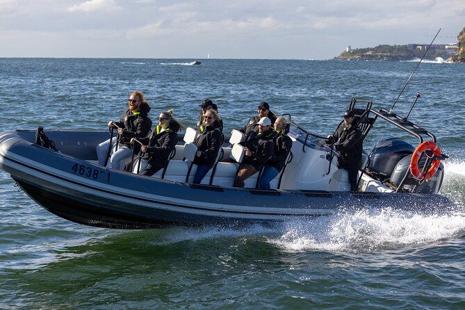 Sydney Whale Watching on Small RIB - Price and Value: Is $98.93 Worth It?
