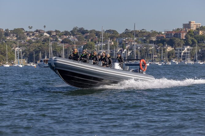 Sydney Whale Watching on Small RIB - Who This Tour Fits Best