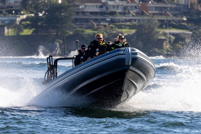 Sydney Whale Watching on Small RIB - The Two-Hour Flow: From Opera House Views to Open Ocean