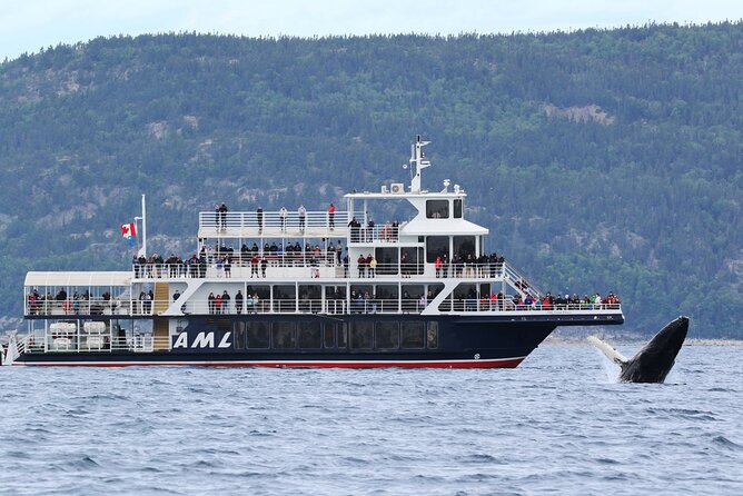 Tadoussac/Charlevoix: Whale Watching Tour - Key highlights I think you’ll care about