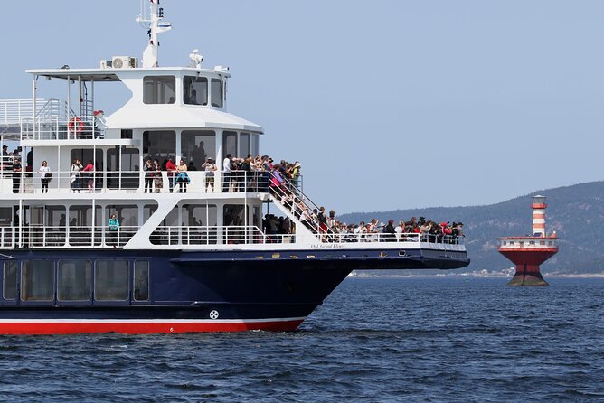 Tadoussac/Charlevoix: Whale Watching Tour - Packing tips that keep a whale day from turning into a miserable day