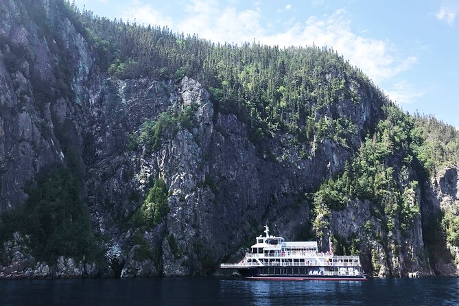 Tadoussac/Charlevoix: Whale Watching Tour - What happens during the 2–3 hours on the water