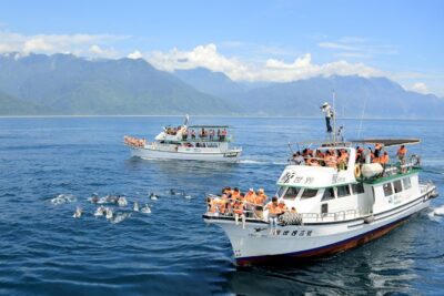 Taiwan Hualien Whale Watching Dolphin - Price and value: what the $29.24 really includes