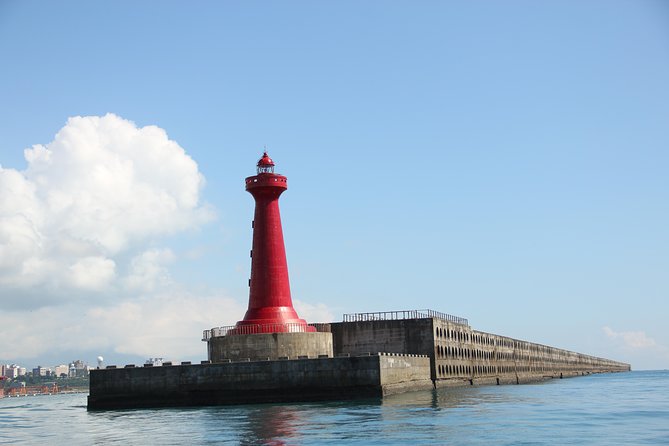Taiwan Hualien Whale Watching Dolphin - Book it or skip it: my decision guide