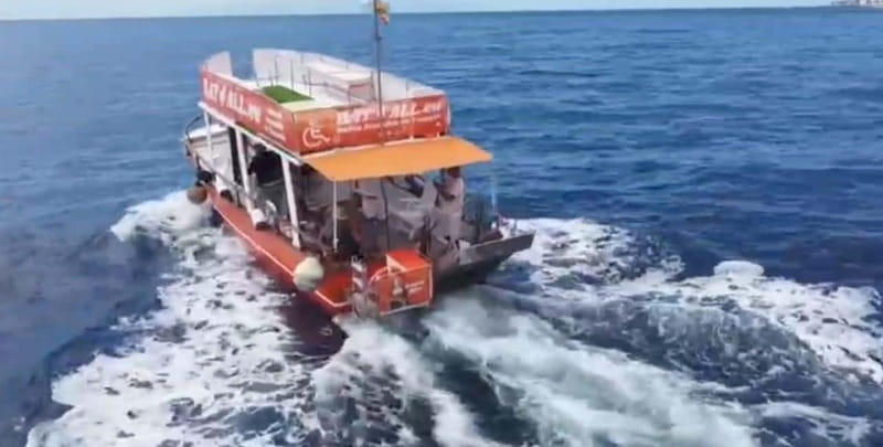 Tenerife: Accessible Whale Watching & Ocean Experience - Price and value: $64 for a 3-hour accessible ocean experience