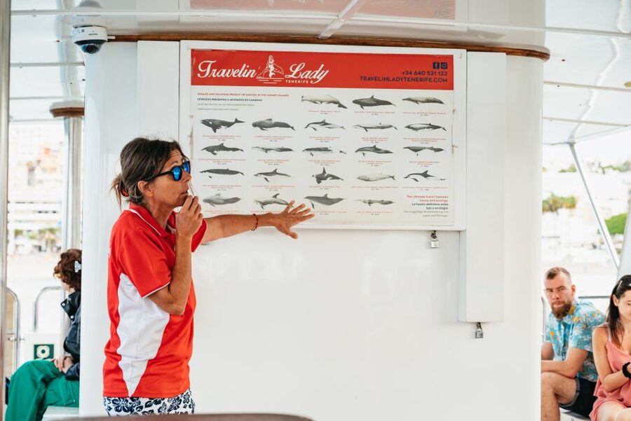 Tenerife: Eco-Yacht Whale and Dolphin Watching and Swimming - Key things that make this tour worth your time