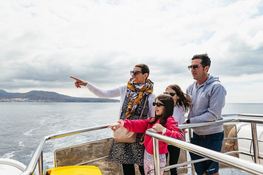 Tenerife: Eco-Yacht Whale and Dolphin Watching and Swimming - Cruising by Palm-Mar: photo stops that don’t waste your attention