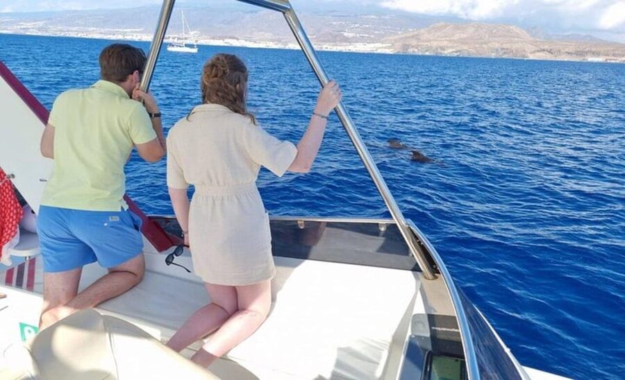 Tenerife: Eco-Yacht Whale and Dolphin Watching and Swimming - Who’s guiding you and how the crew changes the whole vibe
