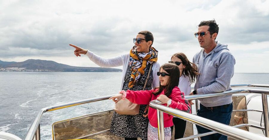 Tenerife: Eco-Yacht Whale and Dolphin Watching and Swimming - Price and time: why 1.5 hours can be the smarter choice