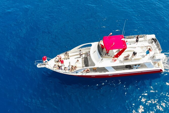 Tenerife Los Cristianos: Whale and Dolphin Eco-Yacht and Swim Stop - Los Cristianos to Palm Mar: how the eco-yacht day unfolds