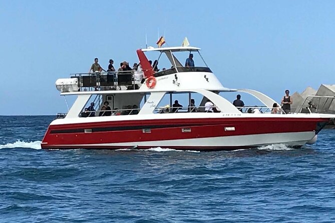 Tenerife Los Cristianos: Whale and Dolphin Eco-Yacht and Swim Stop - Swim stop near Playa de Los Cristianos: how to make that part actually work