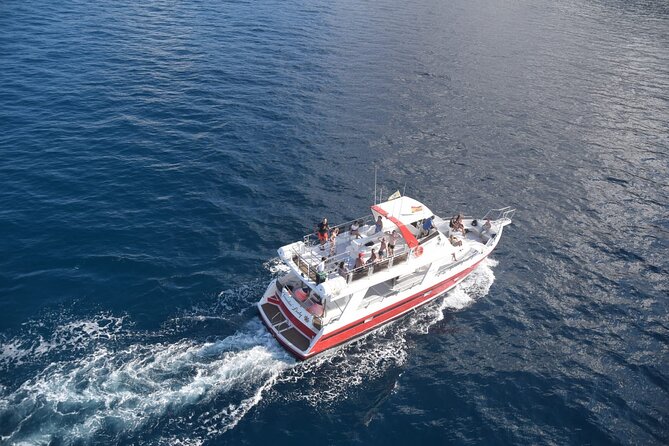 Tenerife Los Cristianos: Whale and Dolphin Eco-Yacht and Swim Stop - Who this tour fits best
