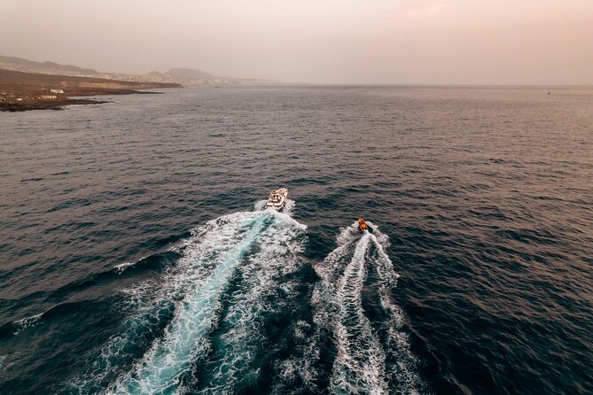 Tenerife Motor Boat Whale Watching & Snorkeling Experience - Why a small 10.8m boat from Puerto Colón feels different