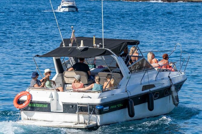 Tenerife Motor Boat Whale Watching & Snorkeling Experience - Weather, seas, and what “good conditions” means for you