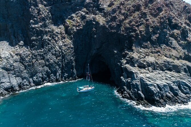 Tenerife Whale Watching and Snorkeling Yacht Trip - Key highlights you’ll care about