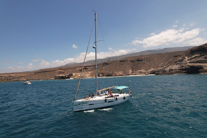 Tenerife Whale Watching and Snorkeling Yacht Trip - Playa del Puertito: snorkeling, swimming, and the turtle possibility