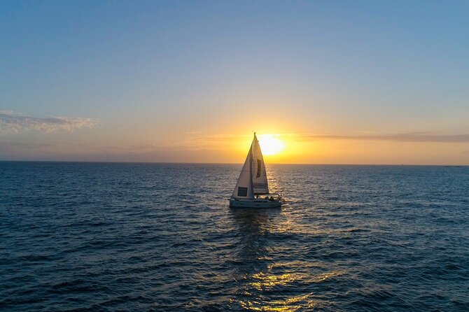Tenerife Whale Watching and Snorkeling Yacht Trip - Snorkeling expectations: priority is wildlife, not gear or minutes