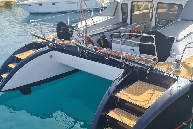 Tenerife Whale watching on private charter - Live Commentary and Crew Service That Feels Personal
