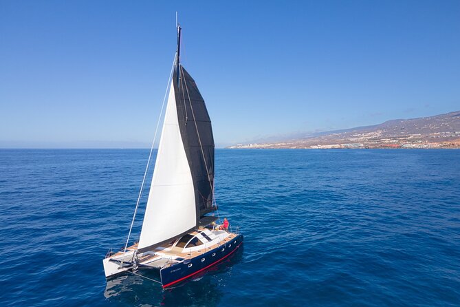 Tenerife Whale watching on private charter - Price and Value: $1,055.39 for Up to 12 People