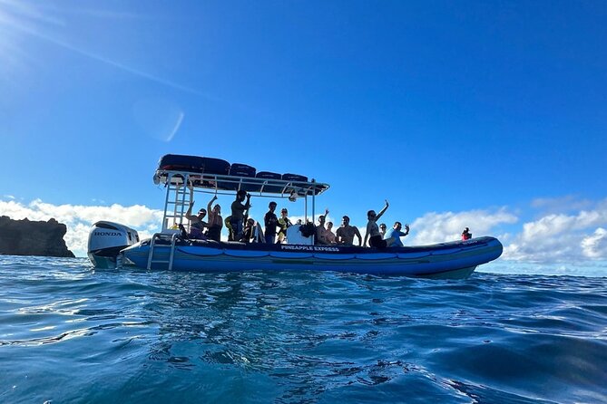 The Best 10 am 1.5 Hour Whale Watching Tour - Hydrophone whale songs: the sound system that turns sighting into an experience