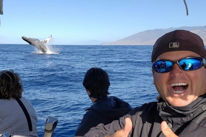 The Best 12 pm 1.5 Hour Whale Watching Tour - What you’ll do on the water during the 1.5-hour watch