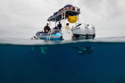 The Best 2.5 Hour Molokini Snorkel Tour & Whale Watch - The Boat Ride: Fast, Focused, and Small-Group Friendly