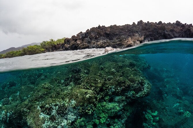 The Best 2.5 Hour Molokini Snorkel Tour & Whale Watch - Stop 1: Molokini Crater Snorkeling (About One Hour)
