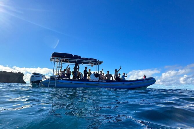 The Best 2.5 Hour Molokini Snorkel Tour & Whale Watch - Who the Crew Is and Why It Matters