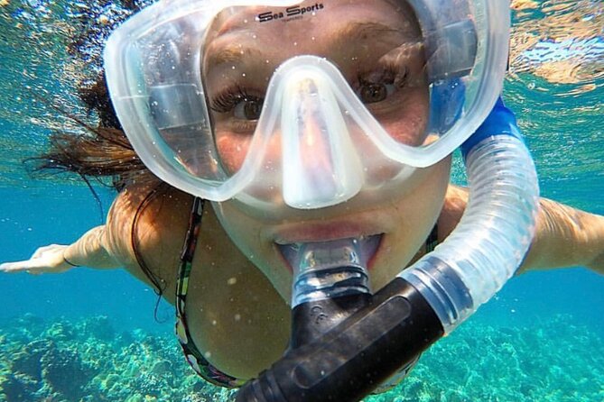 The Best 2.5 Hour Molokini Snorkel Tour & Whale Watch - What Could Go Wrong (and How to Prepare)