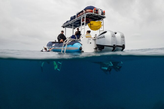 The Best 2.5 Hour Molokini Snorkel Tour & Whale Watch - The Boat Ride: Fast, Focused, and Small-Group Friendly
