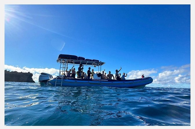 The Best 8 am 1.5 Hour Whale Watching Tour - Close encounters under federal rules: stretching the tour slightly