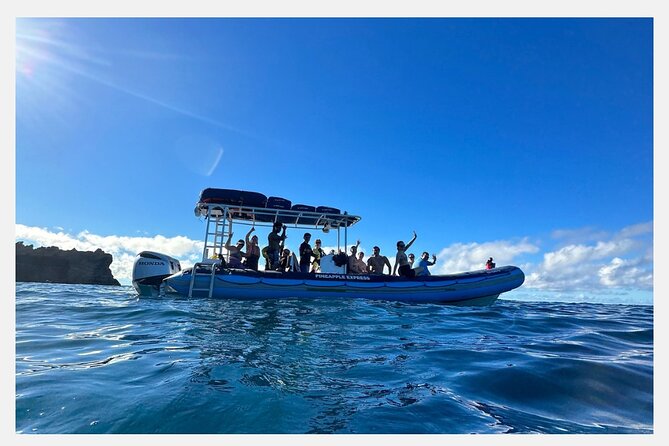 The Best 8 am 1.5 Hour Whale Watching Tour - Price and logistics: is $97.30 worth it?