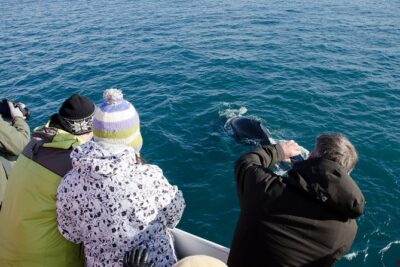 The Original Classic Whale Watching from Reykjavik - Getting deck-ready: overalls, rain gear, and how to dress anyway