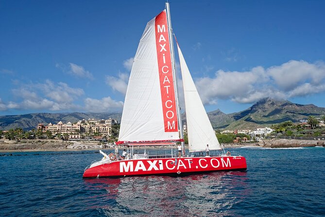 Tour with Whale and Dolphin Watching plus food included - Key highlights before you go
